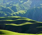 【绿野仙踪伊宁起止】伊犁头等舱1+1小众景点深度8日 夏塔、琼库什台、恰西、孟克特古道、唐布拉、库尔德宁、赛里木湖、那拉提、独库、伊昭