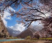 梦旅南疆1+1车型8日|喀什、塔县杏花、帕米尔、天山隧道、罗布人村寨、克孜利亚大峡谷、克孜尔干佛洞